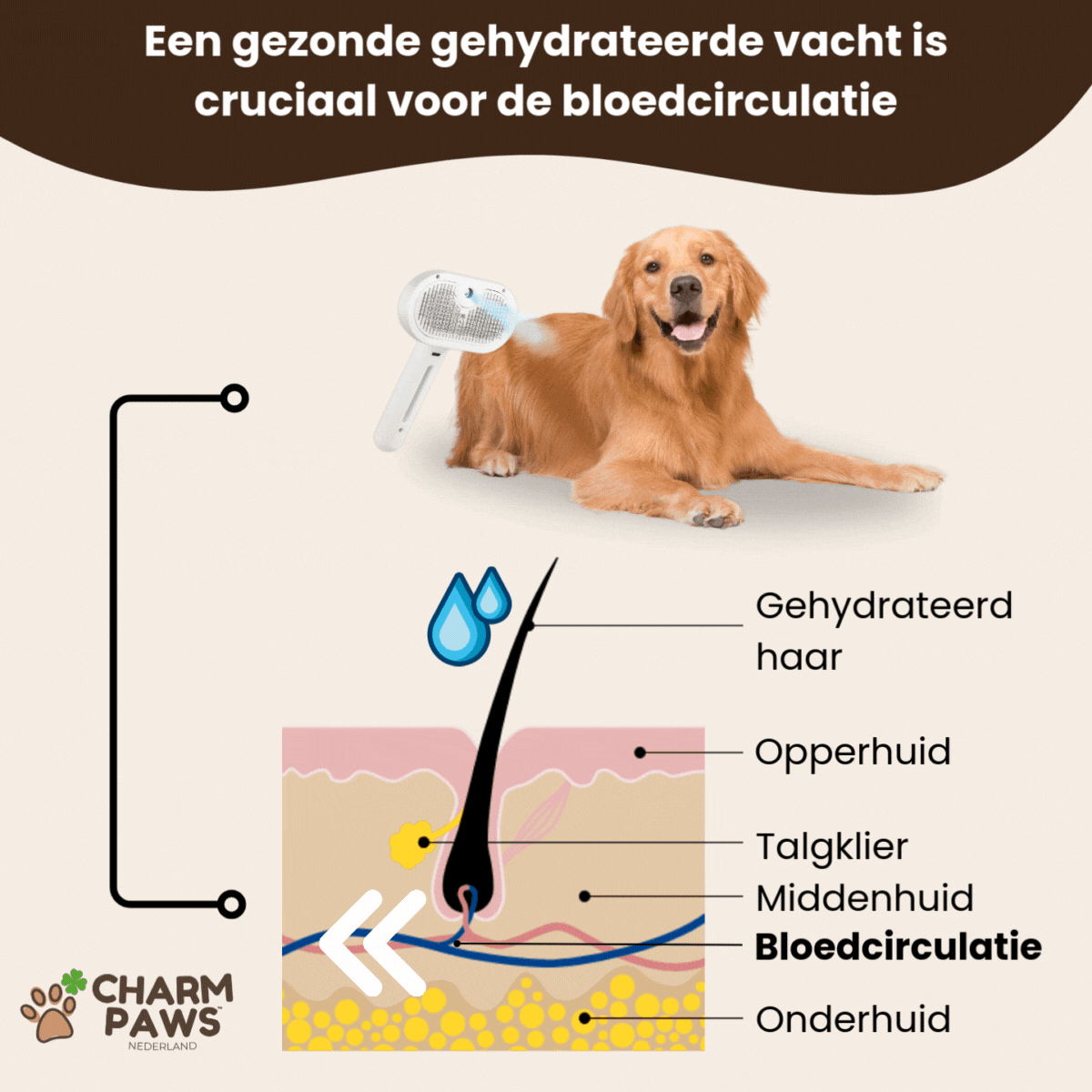 CharmPaws Steami Pro - Brosse professionnelle pour le soin du pelage des animaux de compagnie