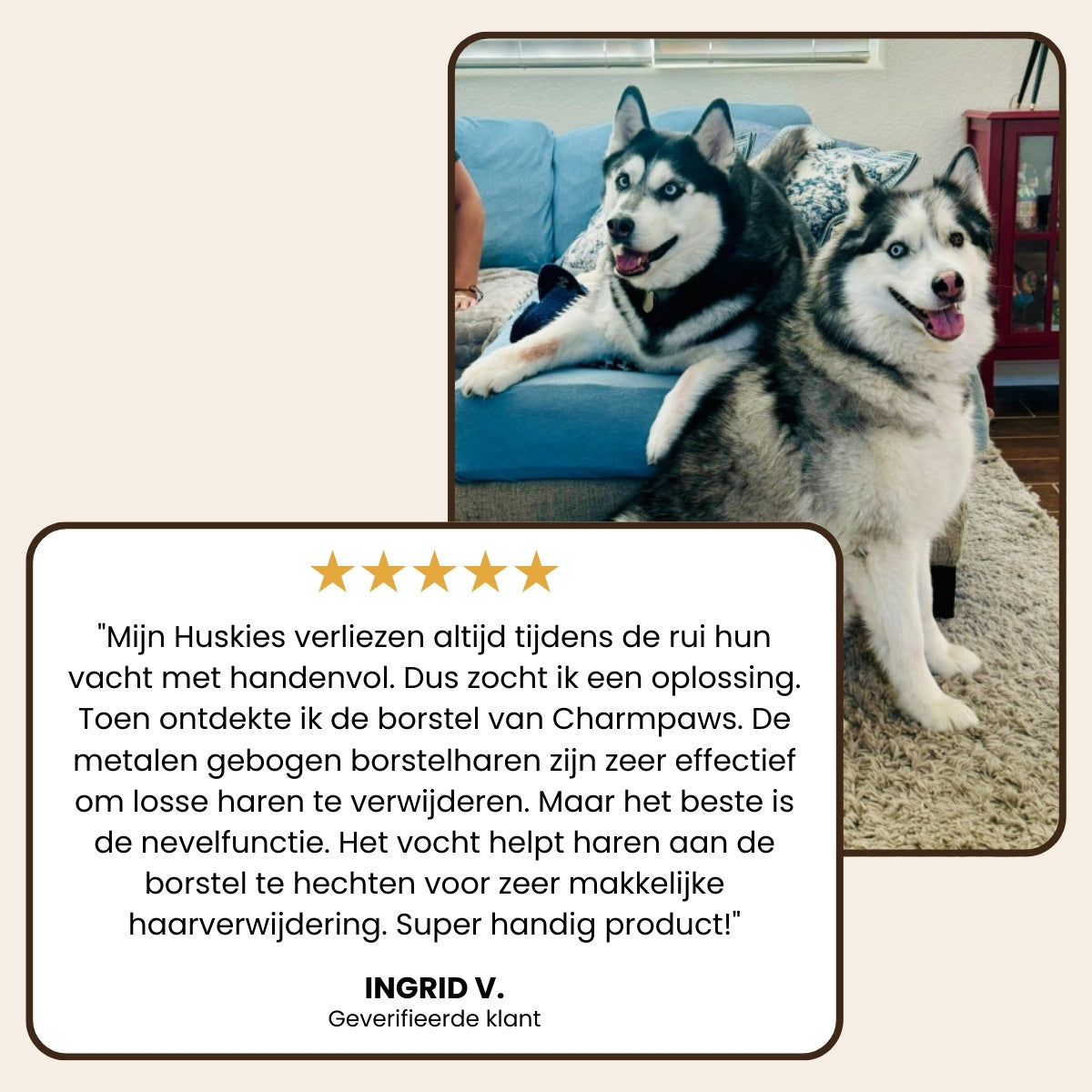 CharmPaws Steami Pro - Brosse professionnelle pour le soin du pelage des animaux de compagnie